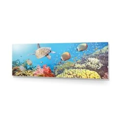 Coral Sea (Long) 14 Coral Sea (Long) -WALL ART DESGIN SALE coral sea long acrylic glass no border no frame 90x30cm 119898