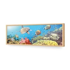 Coral Sea (Long) 17 Coral Sea (Long) -WALL ART DESGIN SALE coral sea long acrylic glass no border oak frame 90x30cm 507316