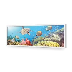 Coral Sea (Long) 16 Coral Sea (Long) -WALL ART DESGIN SALE coral sea long acrylic glass no border white frame 90x30cm 719290