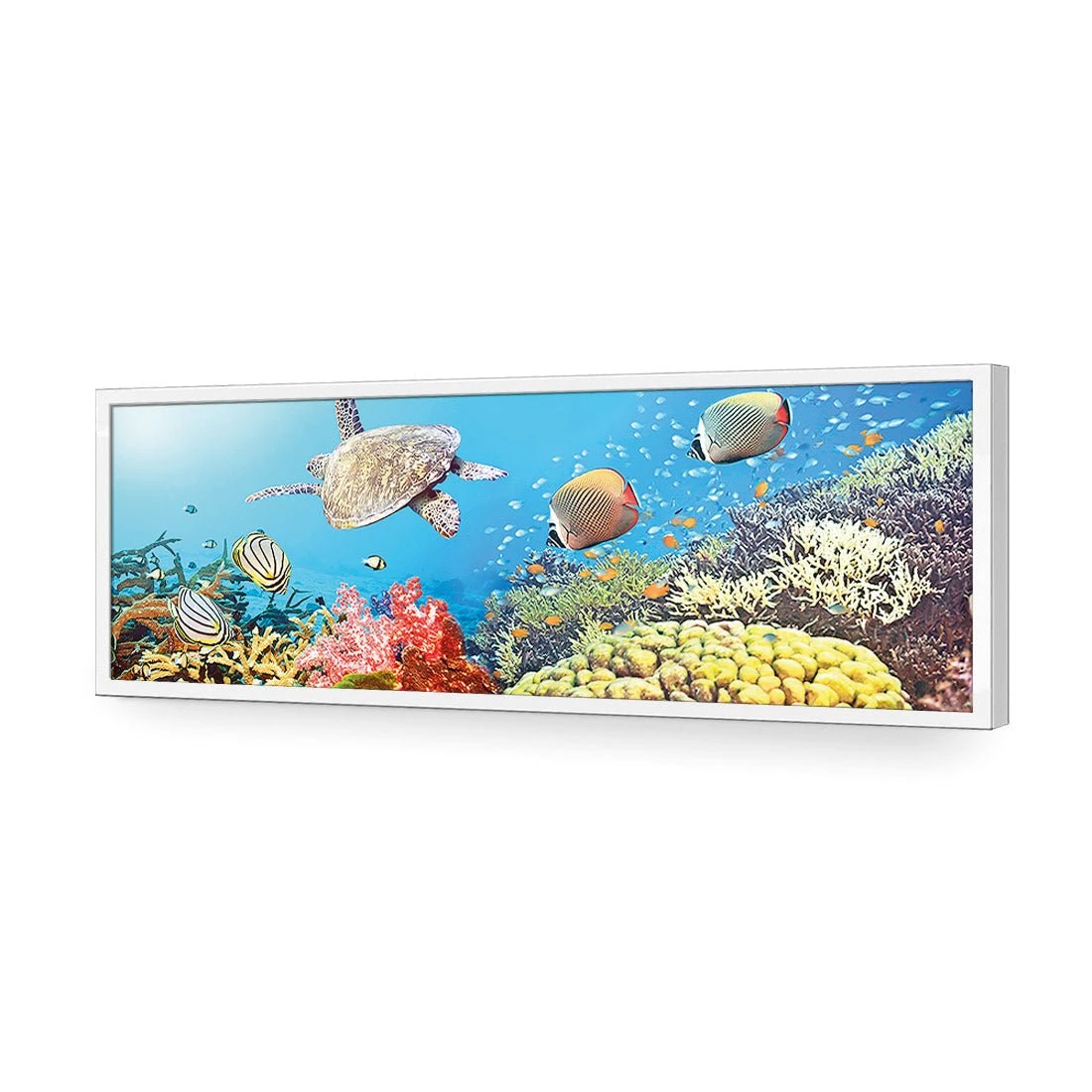 Coral Sea (Long) Coral Sea (Long) -WALL ART DESGIN SALE coral sea long acrylic glass no border white frame 90x30cm 719290