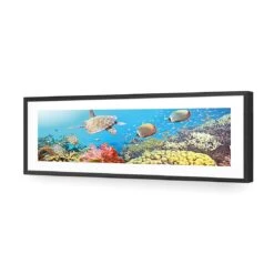 Coral Sea (Long) 10 Coral Sea (Long) -WALL ART DESGIN SALE coral sea long acrylic glass with border black frame 90x30cm 143093