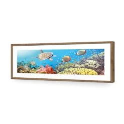 Coral Sea (Long) 13 Coral Sea (Long) -WALL ART DESGIN SALE coral sea long acrylic glass with border natural frame 90x30cm 311985