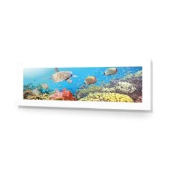Coral Sea (Long) 9 Coral Sea (Long) -WALL ART DESGIN SALE coral sea long acrylic glass with border no frame 90x30cm 263117