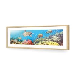 Coral Sea (Long) 12 Coral Sea (Long) -WALL ART DESGIN SALE coral sea long acrylic glass with border oak frame 90x30cm 204327
