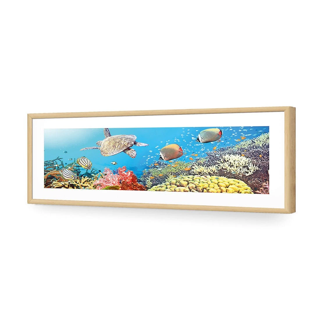 Coral Sea (Long) Coral Sea (Long) -WALL ART DESGIN SALE coral sea long acrylic glass with border oak frame 90x30cm 204327