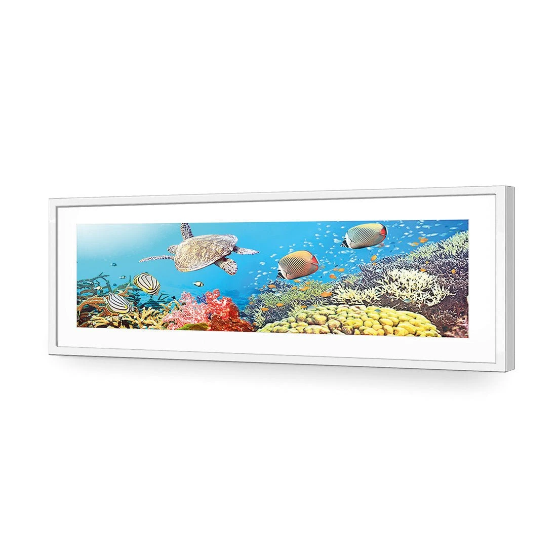 Coral Sea (Long) Coral Sea (Long) -WALL ART DESGIN SALE coral sea long acrylic glass with border white frame 90x30cm 955024