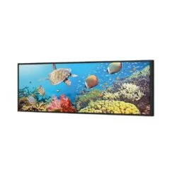 Coral Sea (Long) 4 Coral Sea (Long) -WALL ART DESGIN SALE coral sea long canvas black floating frame 60x20cm 923614