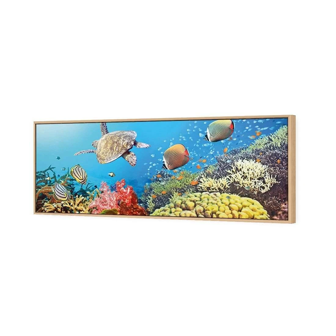 Coral Sea (Long) Coral Sea (Long) -WALL ART DESGIN SALE coral sea long canvas oak floating frame 60x20cm 548661