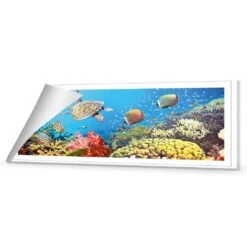 Coral Sea (Long) 8 Coral Sea (Long) -WALL ART DESGIN SALE coral sea long canvas rolled canvas 60x20cm 162661