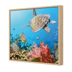 Coral Sea, Square Canvas Art 7 Coral Sea, Square Canvas Art -WALL ART DESGIN SALE coral sea square canvas art 30x30cm oak frame 595887