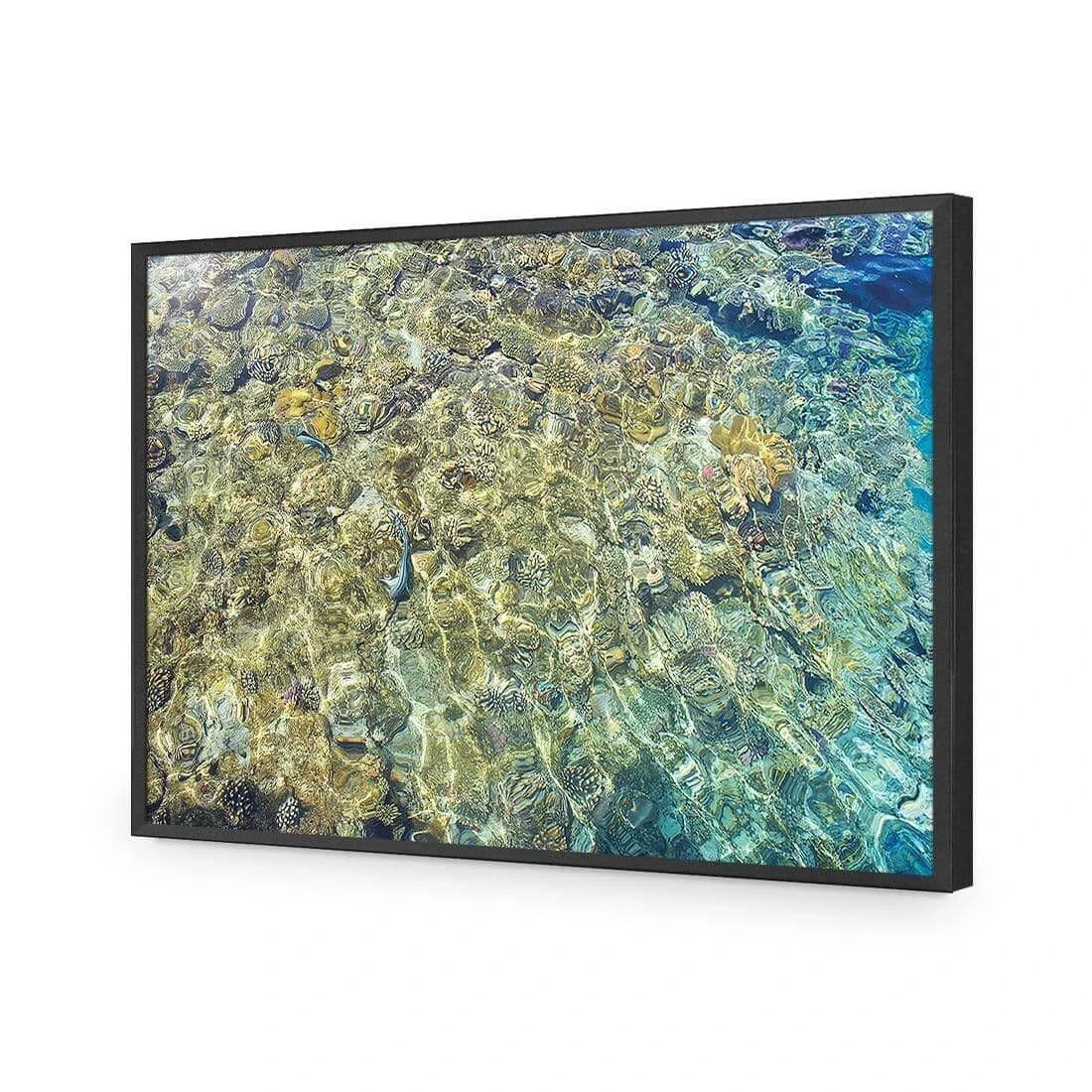 Coral Shallows Coral Shallows -WALL ART DESGIN SALE coral shallows acrylic glass no border black frame 45x30cm 767920