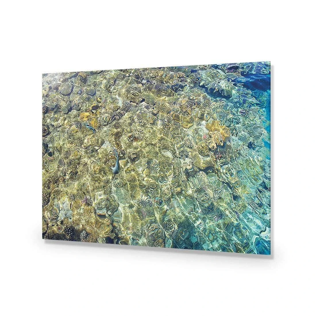 Coral Shallows Coral Shallows -WALL ART DESGIN SALE coral shallows acrylic glass no border no frame 45x30cm 446305
