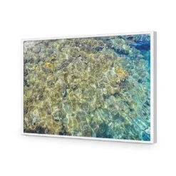 Coral Shallows 16 Coral Shallows -WALL ART DESGIN SALE coral shallows acrylic glass no border white frame 45x30cm 841146