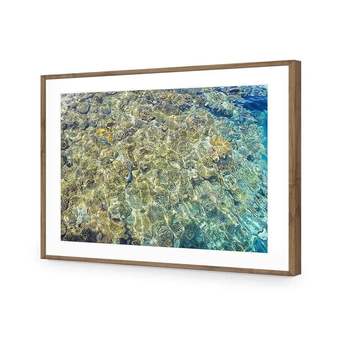 Coral Shallows Coral Shallows -WALL ART DESGIN SALE coral shallows acrylic glass with border natural frame 45x30cm 736226