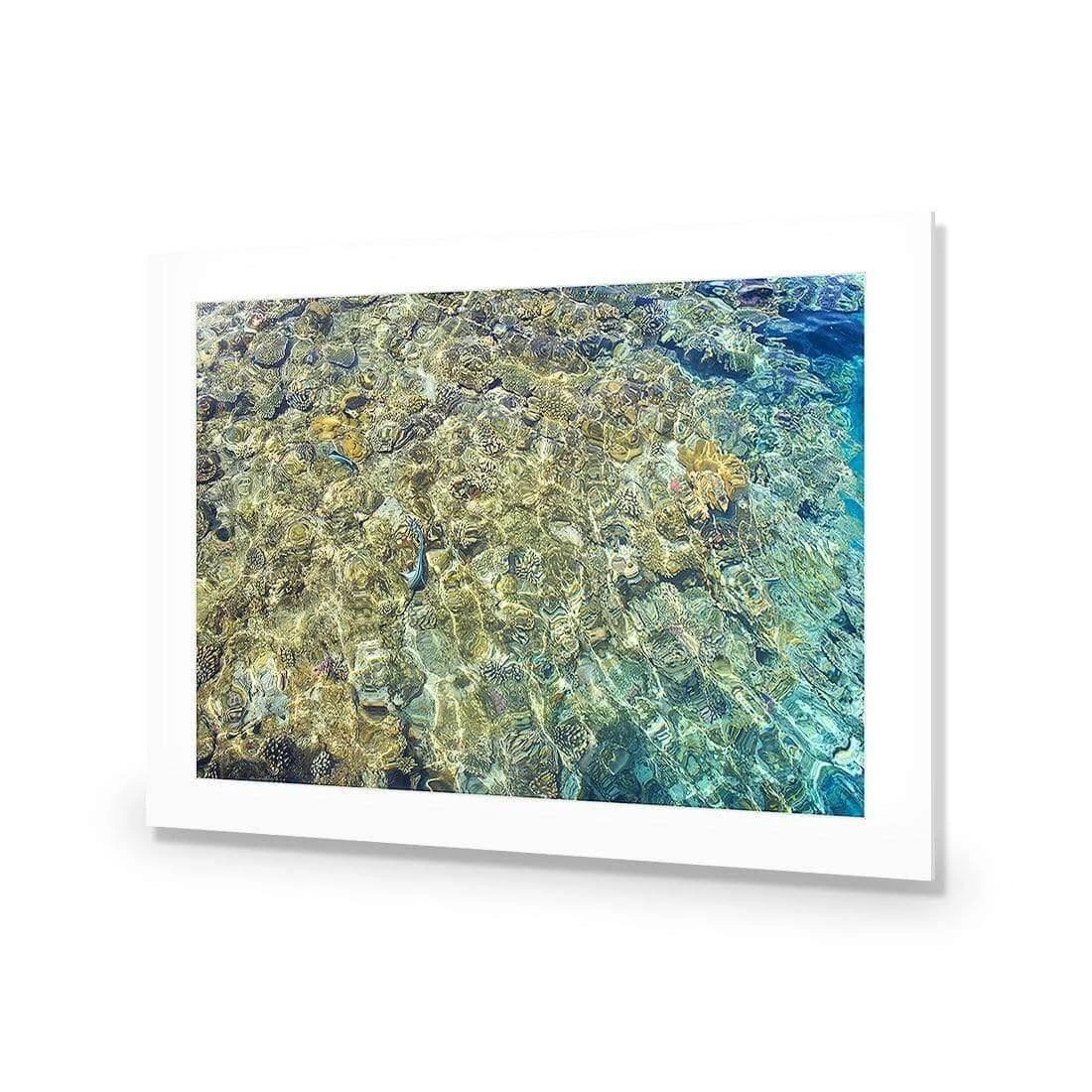 Coral Shallows Coral Shallows -WALL ART DESGIN SALE coral shallows acrylic glass with border no frame 45x30cm 982445