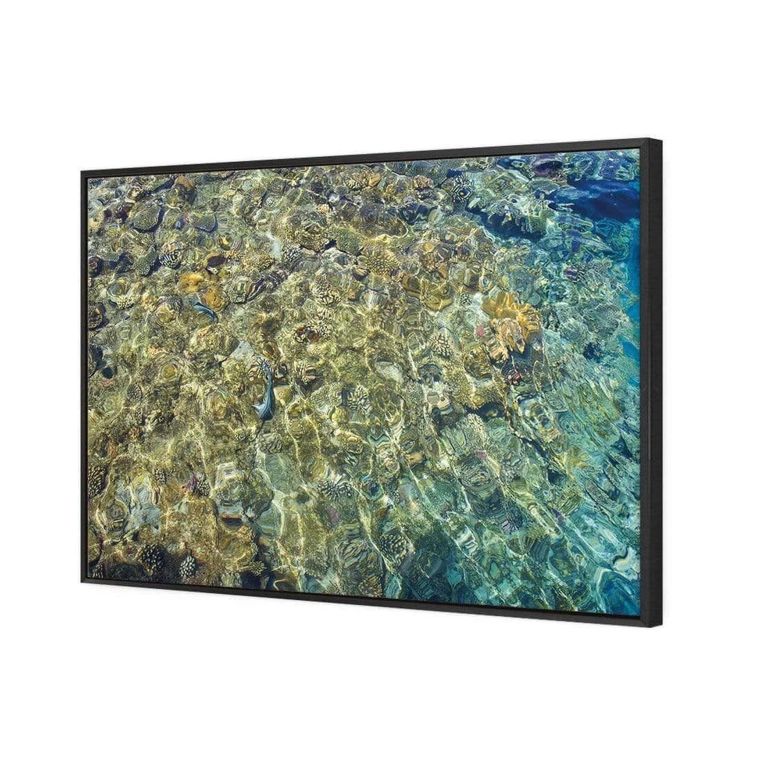 Coral Shallows Coral Shallows -WALL ART DESGIN SALE coral shallows canvas black floating frame 45x30cm 361805