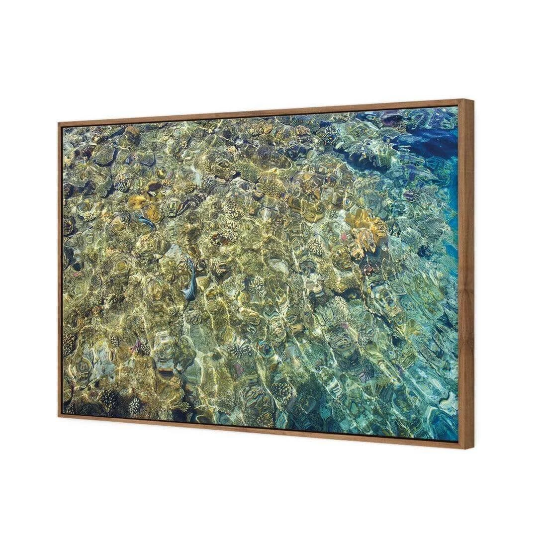 Coral Shallows Coral Shallows -WALL ART DESGIN SALE coral shallows canvas natural floating frame 45x30cm 304657