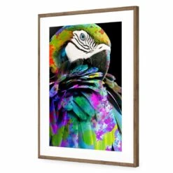 Coy Macaw Acrylic Print Art 6 Coy Macaw Acrylic Print Art -WALL ART DESGIN SALE coy macaw acrylic glass art with border natural frame 59x40cm 547628