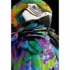 Coy Macaw Acrylic Print Art -WALL ART DESGIN SALE coy macaw acrylic glass art with border no frame 45x30cm 848102