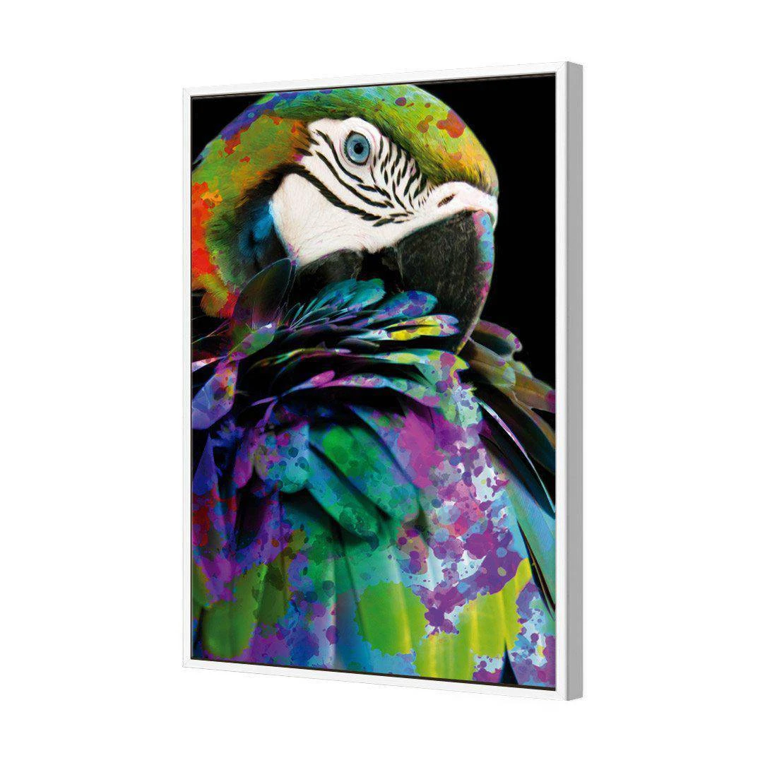 Coy Macaw Canvas Art Coy Macaw Canvas Art -WALL ART DESGIN SALE coy macaw canvas art 45x30cm white frame 835219
