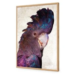 Curious Cocky, Grunge -WALL ART DESGIN SALE curious cocky grunge acrylic glass no border oak frame 45x30cm 986651