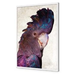 Curious Cocky, Grunge -WALL ART DESGIN SALE curious cocky grunge acrylic glass no border white frame 45x30cm 408537