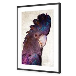 Curious Cocky, Grunge -WALL ART DESGIN SALE curious cocky grunge acrylic glass with border black frame 45x30cm 679580