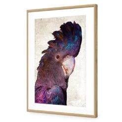 Curious Cocky, Grunge -WALL ART DESGIN SALE curious cocky grunge acrylic glass with border oak frame 45x30cm 903521