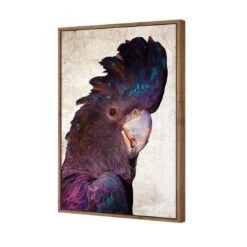 Curious Cocky, Grunge -WALL ART DESGIN SALE curious cocky grunge canvas natural floating frame 45x30cm 626909