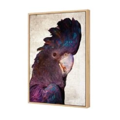 Curious Cocky, Grunge -WALL ART DESGIN SALE curious cocky grunge canvas oak floating frame 45x30cm 477995