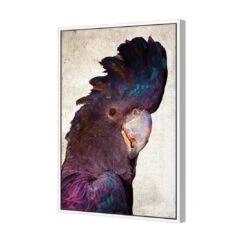 Curious Cocky, Grunge -WALL ART DESGIN SALE curious cocky grunge canvas white floating frame 45x30cm 709999