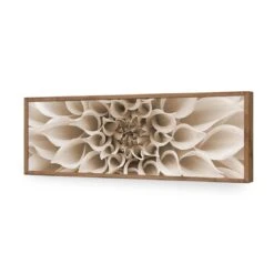 Dahlia Delight, Sepia (Long) -WALL ART DESGIN SALE dahlia delight sepia long acrylic glass no border natural frame 90x30cm 891780