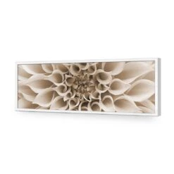 Dahlia Delight, Sepia (Long) -WALL ART DESGIN SALE dahlia delight sepia long acrylic glass no border white frame 90x30cm 453375