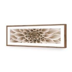 Dahlia Delight, Sepia (Long) -WALL ART DESGIN SALE dahlia delight sepia long acrylic glass with border natural frame 90x30cm 679098