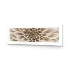 Dahlia Delight, Sepia (Long) -WALL ART DESGIN SALE dahlia delight sepia long acrylic glass with border no frame 90x30cm 710509