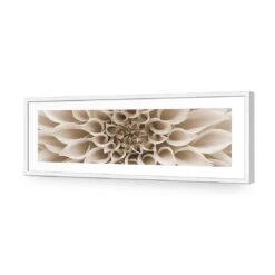 Dahlia Delight, Sepia (Long) -WALL ART DESGIN SALE dahlia delight sepia long acrylic glass with border white frame 90x30cm 352290