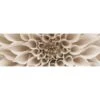 Dahlia Delight, Sepia (Long) -WALL ART DESGIN SALE dahlia delight sepia long canvas stretched canvas 60x20cm 299208