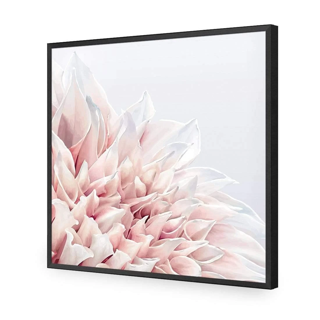 Dahlia Softness Dahlia Softness -WALL ART DESGIN SALE dahlia softness acrylic glass no border black frame 37x37cm 617242
