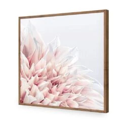 Dahlia Softness 18 Dahlia Softness -WALL ART DESGIN SALE dahlia softness acrylic glass no border natural frame 37x37cm 568683