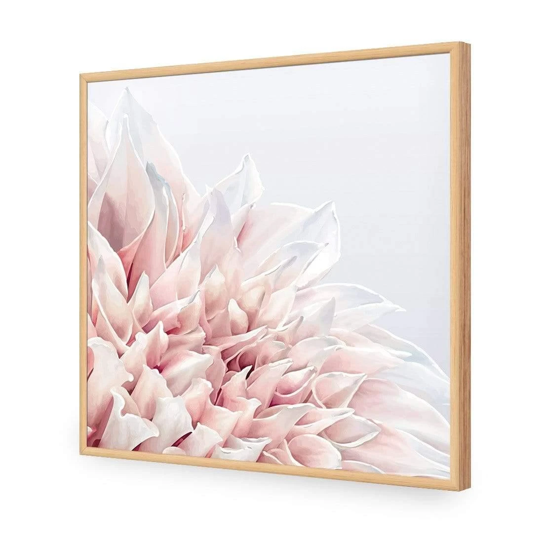 Dahlia Softness Dahlia Softness -WALL ART DESGIN SALE dahlia softness acrylic glass no border oak frame 37x37cm 509675