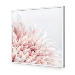 Dahlia Softness 16 Dahlia Softness -WALL ART DESGIN SALE dahlia softness acrylic glass no border white frame 37x37cm 125162