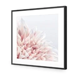 Dahlia Softness 10 Dahlia Softness -WALL ART DESGIN SALE dahlia softness acrylic glass with border black frame 37x37cm 255855