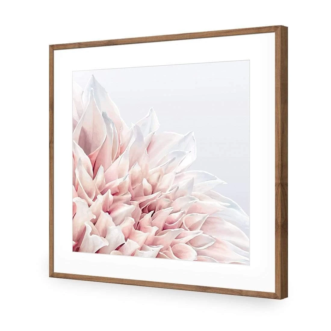 Dahlia Softness Dahlia Softness -WALL ART DESGIN SALE dahlia softness acrylic glass with border natural frame 37x37cm 728621