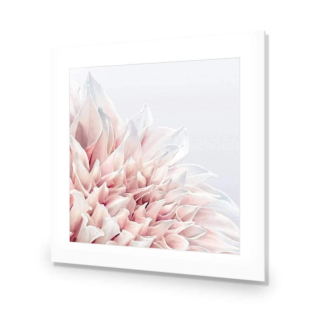 Dahlia Softness Dahlia Softness -WALL ART DESGIN SALE dahlia softness acrylic glass with border no frame 37x37cm 938287