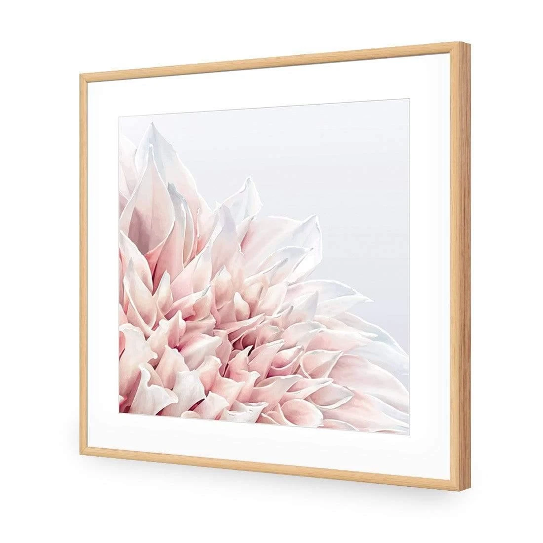 Dahlia Softness Dahlia Softness -WALL ART DESGIN SALE dahlia softness acrylic glass with border oak frame 37x37cm 938251