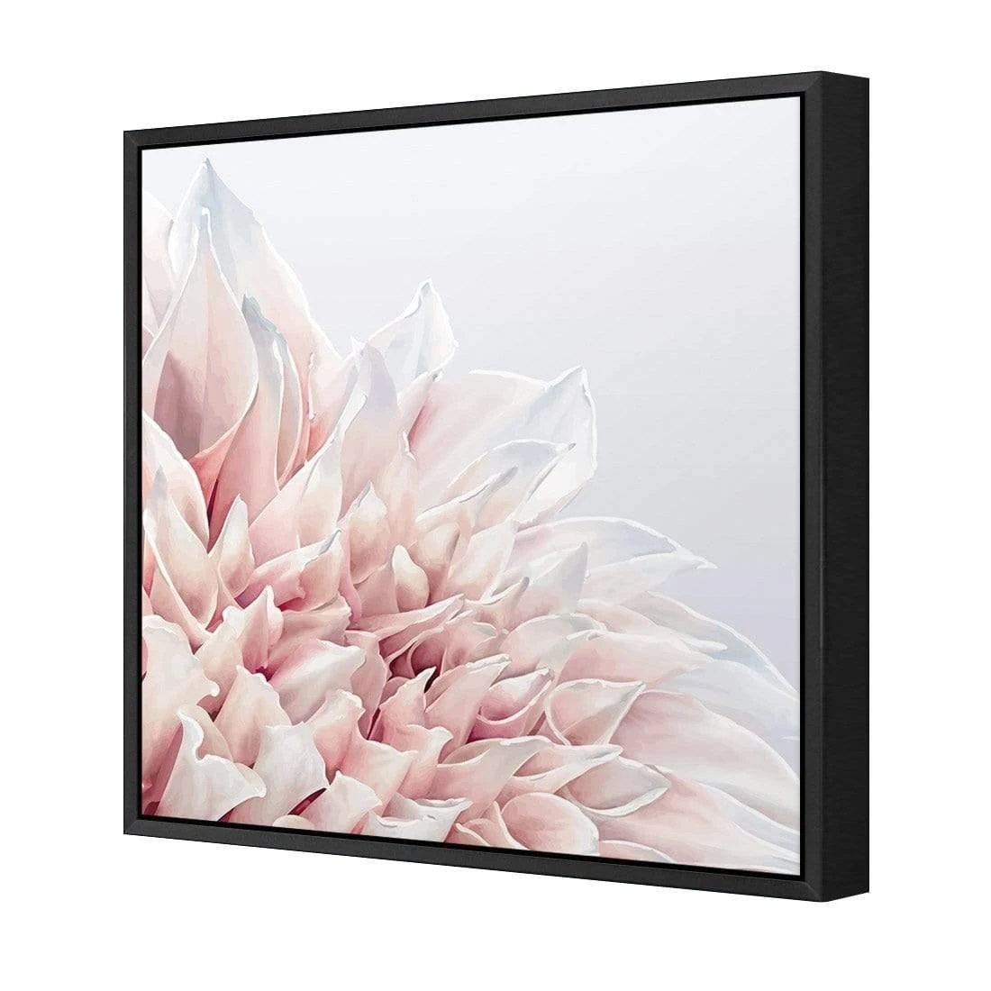 Dahlia Softness Dahlia Softness -WALL ART DESGIN SALE dahlia softness canvas black floating frame 37x37cm 190192
