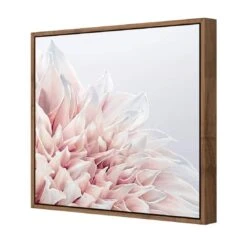 Dahlia Softness 7 Dahlia Softness -WALL ART DESGIN SALE dahlia softness canvas natural floating frame 37x37cm 992671
