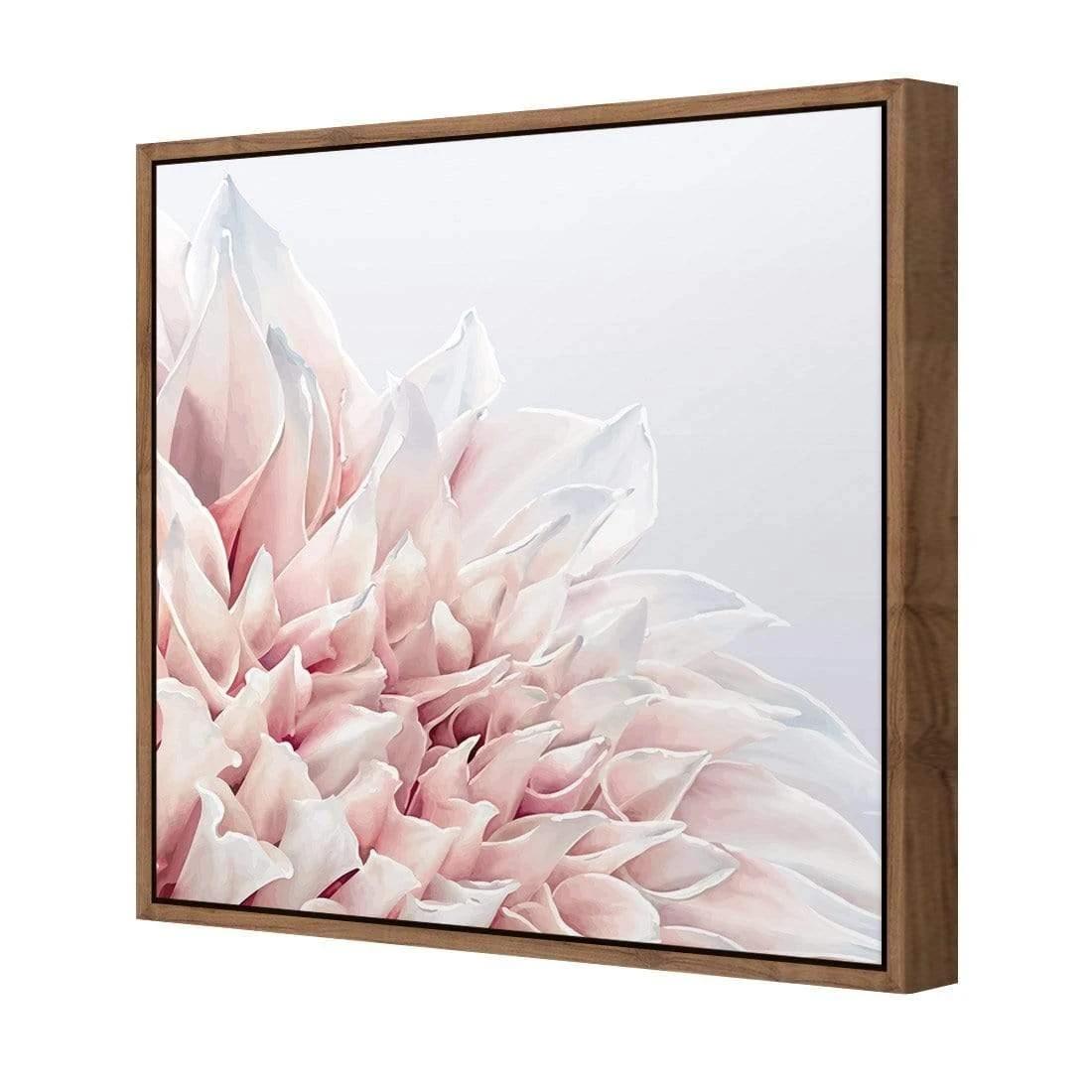 Dahlia Softness Dahlia Softness -WALL ART DESGIN SALE dahlia softness canvas natural floating frame 37x37cm 992671