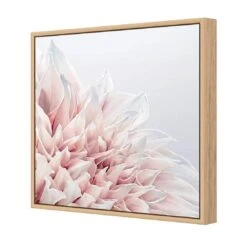 Dahlia Softness 6 Dahlia Softness -WALL ART DESGIN SALE dahlia softness canvas oak floating frame 37x37cm 584665