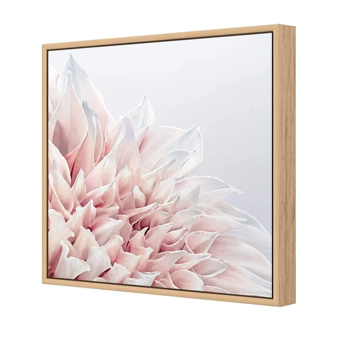 Dahlia Softness Dahlia Softness -WALL ART DESGIN SALE dahlia softness canvas oak floating frame 37x37cm 584665